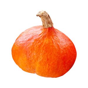 Dýně